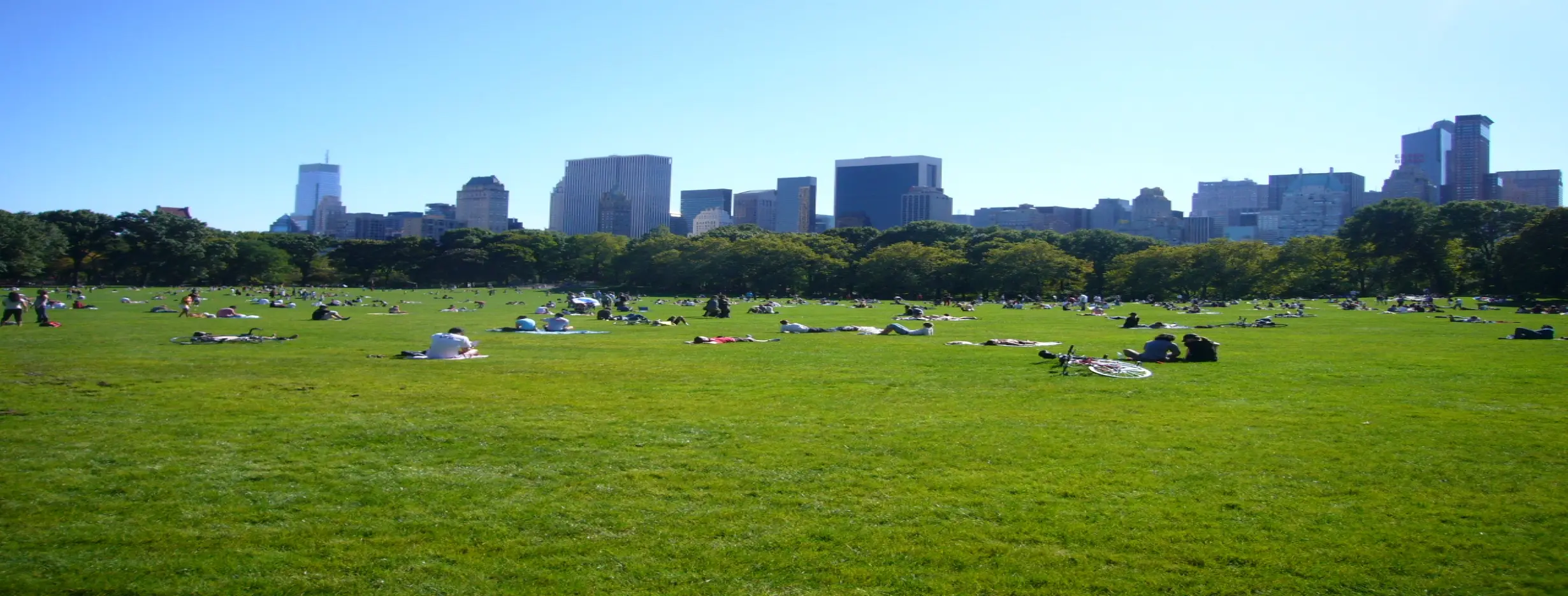 Image for Urban Green Spaces